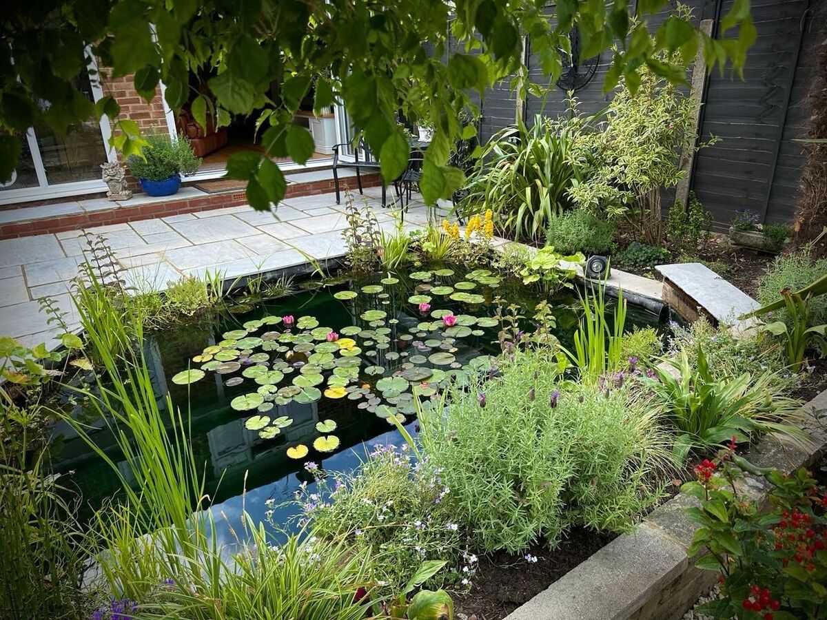 Natural water feature in a garden setting